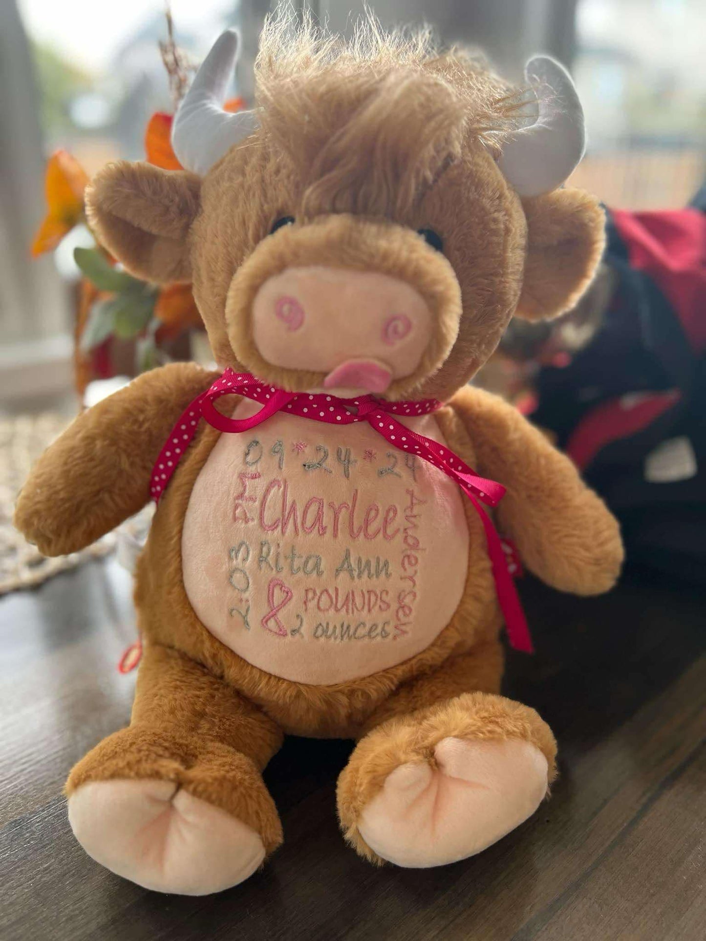 Custom Personalized Stuffies