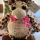 Custom Personalized Stuffies